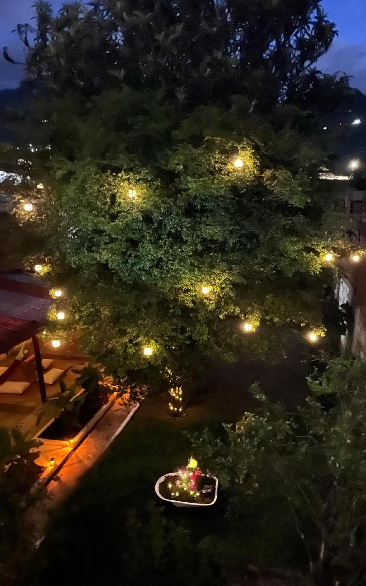 Magic Jardin Hostel - Patio, Balcony & Rooftop Exterior photo